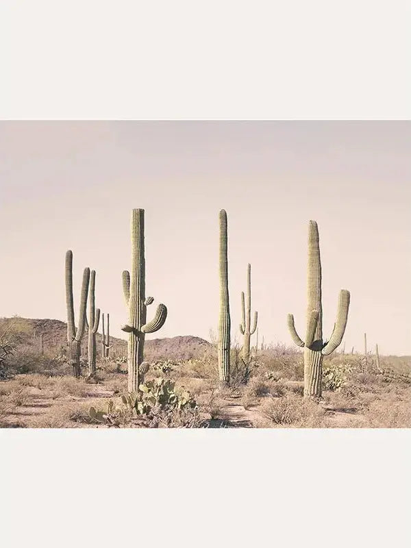 Blush Cactus Desert Art Print