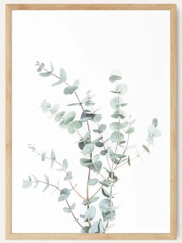 Botanical I Eucalyptus /  FRAMED PRINT
