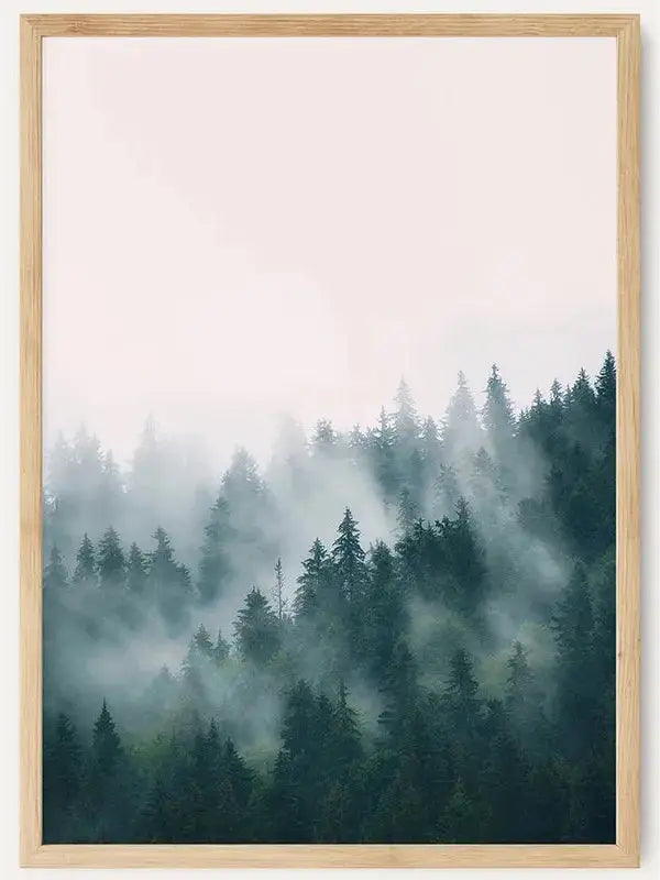 Forest/  FRAMED PRINT