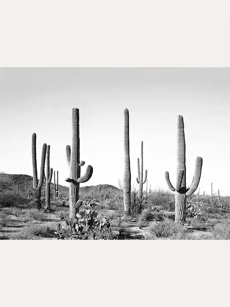 Grey Cactus Land BW Art Print