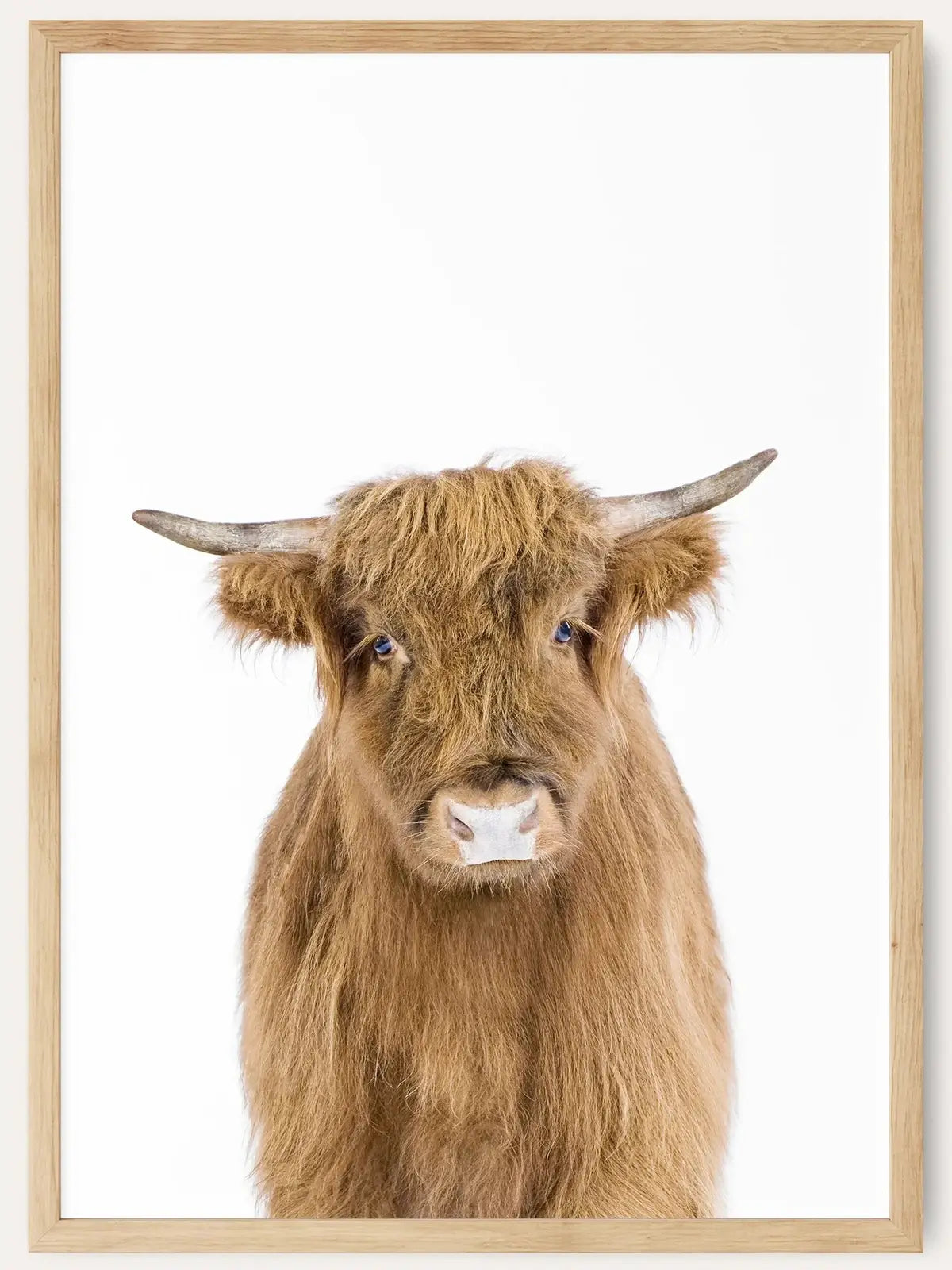 Baby Cow /  FRAMED PRINT
