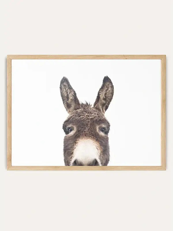 Peeking Donkey/  FRAMED PRINT