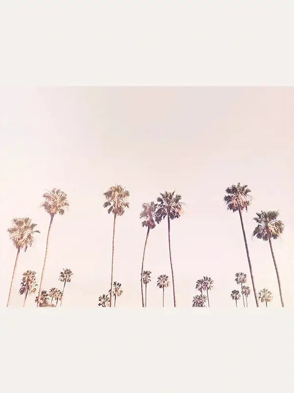 Sunny Cali Palm Trees Art Print